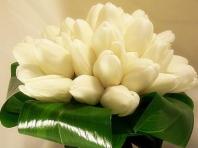 Cara menata karangan bunga tulip dengan indah: tips bermanfaat Cara membuat karangan bunga tulip dengan tangan Anda sendiri
