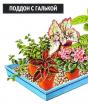 Sigurna zaštita biljaka od bolesti i štetnika u srpnju i kolovozu