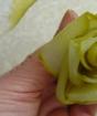 ความงามที่แสนอร่อย: การตัดดอกกุหลาบจากหัวบีท วิธีทำดอกกุหลาบจากผักทีละขั้นตอน