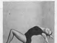 Уран сайхны гимнастикийн тэнцвэрийг сайжруулах арга зүй Гимнастик дахь босоо тэнцвэр